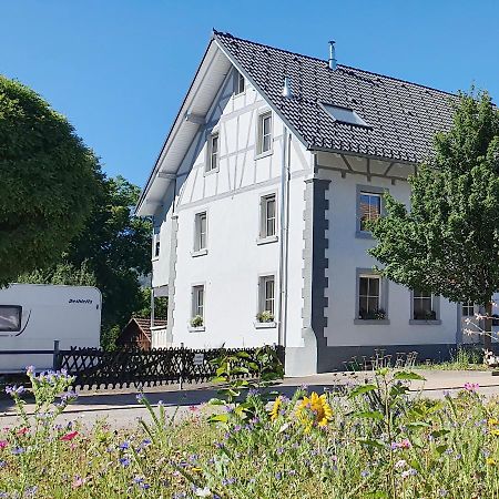 Apartment Kerbholz - Zwischen Suedschwarzwald Und Schweiz Griessen Экстерьер фото