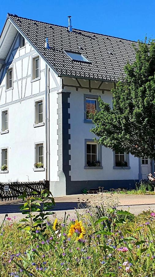 Apartment Kerbholz - Zwischen Suedschwarzwald Und Schweiz Griessen Экстерьер фото